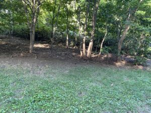 発掘されたあたりの今の様子