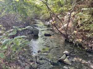 近隣の人が涼を求めてやってくるチャシ跡近くを流れる川
